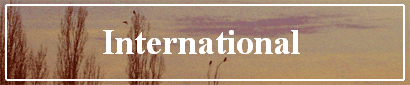 International 